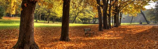italiano em Casalecchio di Reno com Language International